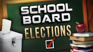 School Board Election 2020